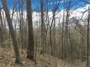 Vacant Land Upper Herron Cove Road 1 & 3 sold home in Weaverville, SC