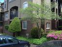 1101 Morehead Street 25 sold home in Charlotte, SC