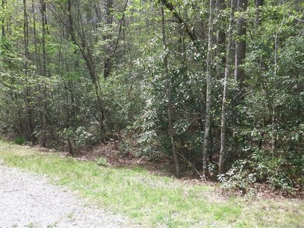 118 Oriole Lane sold lot in Quail Ridge, Lake Lure, NC