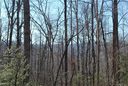 Chc Reserve Road chc sold home in Pisgah Forest, SC
