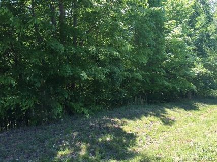 Lots 24 25 Long Cedar Lane 24-25 sold lot in Cedar Ridge Farms, Alexis, NC