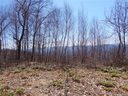 Lot A Justin Ridge sold home in Clyde, SC