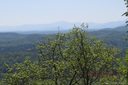0 Mountain Forest Drive sold home in Union Mills, SC