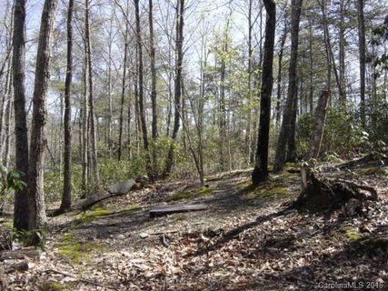 91 Old Forge Drive sold lot in Summit, Bostic, NC