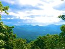 8 Waxwing Lane sold home in Asheville, SC