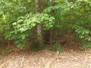 0 White Oaks Circle sold home in Monroe, SC