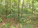 00 White Oaks Circle sold home in Monroe, SC