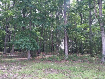 1538 Springsteen Road