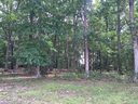 1538 Springsteen Road sold home in Rock Hill, SC