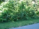 000 Holton Lane 79 sold home in Mooresville, SC
