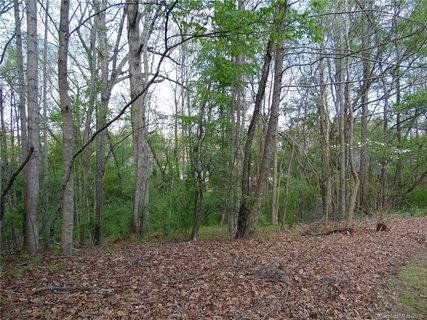 Lot 68 Walden Court