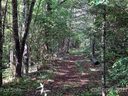 000 Fox Crossing None sold home in Rosman, SC