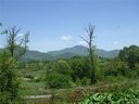 Lot 20 Frank Davis Road sold home in Waynesville, SC