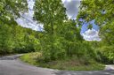9999 Lytle Cove Road sold home in Swannanoa, SC