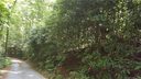 0 Willow Lake Drive 25 sold home in Hendersonville, SC