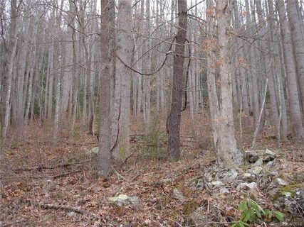 Lot 9 Wayward Cove sold lot in Fines Creek Cove, Clyde, NC