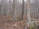Lot 9 Wayward Cove sold home in Clyde, SC