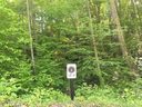 51 Crossing Circle 19 sold home in Fairview, SC