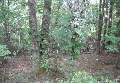 56 Creek Run Road sold lot in Forest Creek, Candler, NC