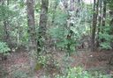 56 Creek Run Road sold home in Candler, SC