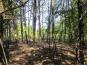 9999 Cottage Park Road 3 sold home in Morganton, SC