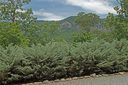 2 Garden Lane sold home in Lake Lure, SC
