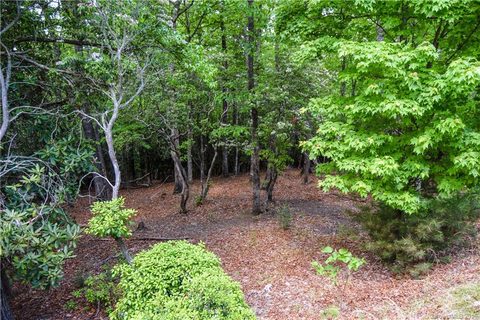 262 Shining Rock Path 65