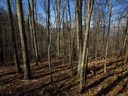 Lot 56 Comanche Trail sold home in Waynesville, SC