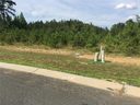 000 Jaida Lane 6 sold home in Oakboro, SC