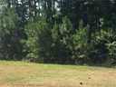 000 Colton Street 9 sold home in Oakboro, SC