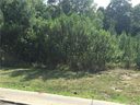000 Jaida Lane 17 sold home in Oakboro, SC