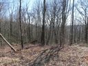 Lot 329 Dj Drive sold home in Fairview, SC