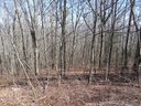 Lot 339 Ebby Ridge None sold home in Fairview, SC