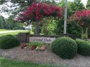 1180 Holland Oaks Drive L 19 sold home in China Grove, SC