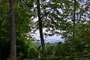 5969 Holiday Shores Avenue sold home in Nebo, SC
