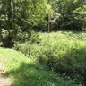 00 Rustic Heights Road 23/24 sold home in Waynesville, SC