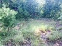0 Eagles Road 59 sold home in Bryson City, SC