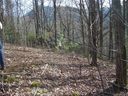 26 Appaloosa Trail sold home in Waynesville, SC