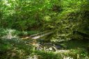 6 Woodfen Road Lot 6 sold home in Lake Lure, SC
