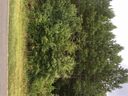 00 Windy Drive 56 sold home in Monroe, SC