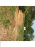 2509 Moreland Street sold home in Charlotte, SC
