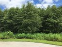 75 Small Creek Drive sold home in Lake Lure, SC