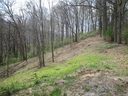 15 R Silent Forest Drive sold home in Canton, SC