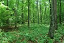 Chc Reserve Road sold home in Pisgah Forest, SC
