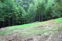 92 Gobbler Ridge Drive sold home in Arden, SC