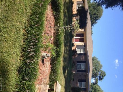 13415 Idlefield Lane