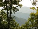 6 23 Acres Ivy Cove Road 13 sold home in Fairview, SC