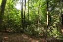 Lot 13 Laurel Ridge Road sold home in Pisgah Forest, SC