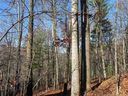 44 Lot Churchill Downs Drive sold home in Fairview, SC