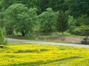 00 Appaloosa Trail sold home in Waynesville, SC